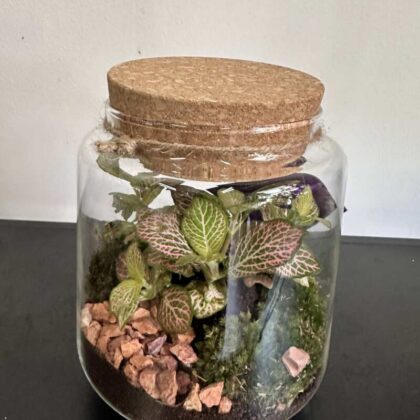 Terarium S